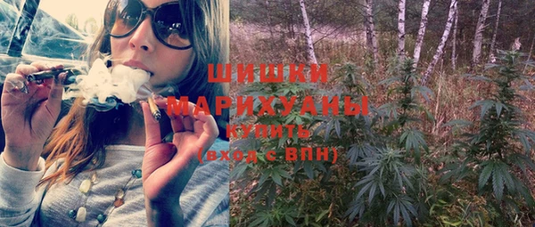 шишки Верея