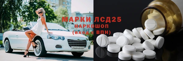шишки Верея