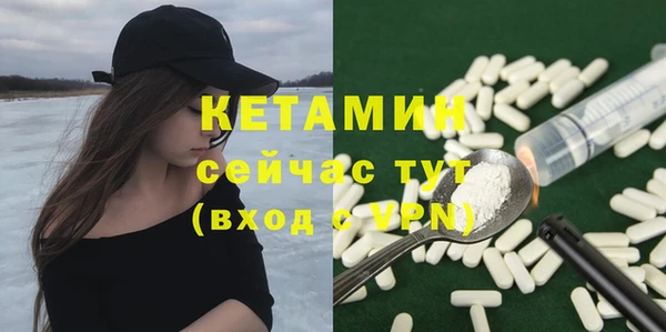 шишки Верея