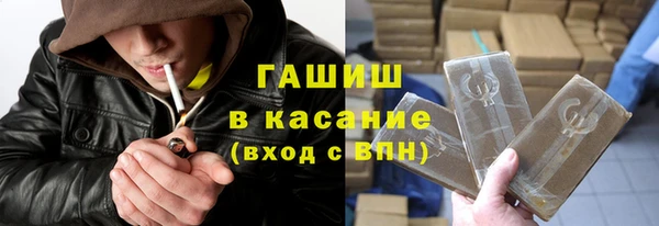 шишки Верея