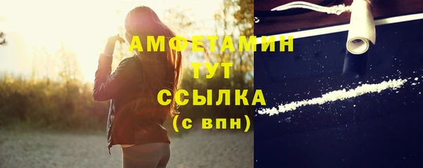 шишки Верея