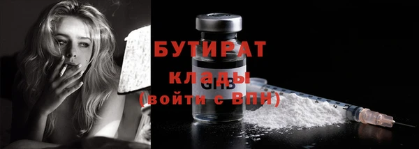 шишки Верея