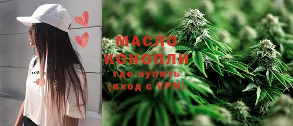 шишки Верея