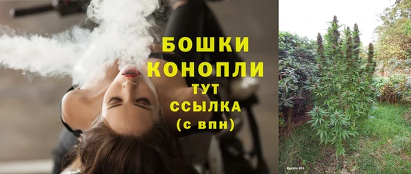 шишки Верея