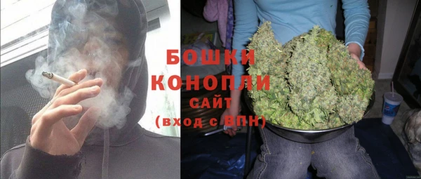 шишки Верея
