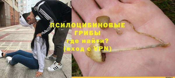 шишки Верея