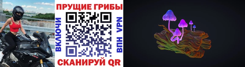 Галлюциногенные грибы Cubensis Волоколамск